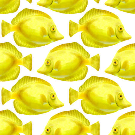 seamless pattern with drawing tropical fishesの写真素材