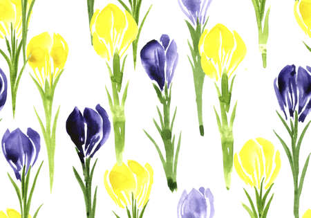 watercolor seamless pattern with wild flowersの写真素材