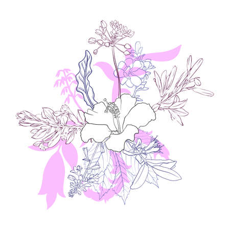 vector drawing vintage composition with flowersのイラスト素材