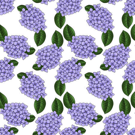 seamless pattern with flower of hydrangeaの写真素材