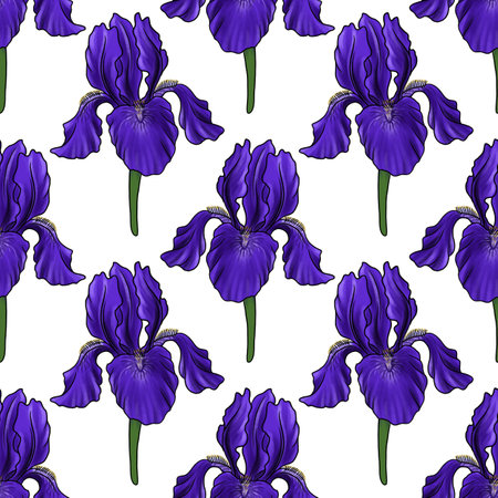 seamless pattern with flower of irisの写真素材