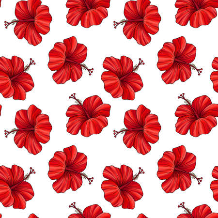 seamless pattern with flowers of hibiscusの写真素材