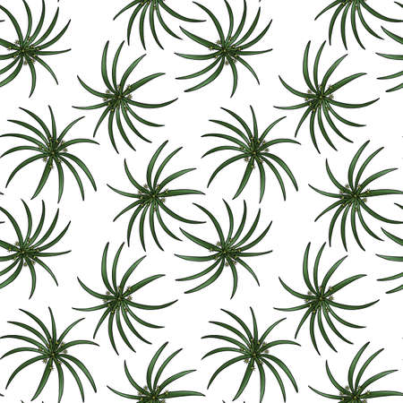 seamless pattern with plant of cypriolの写真素材