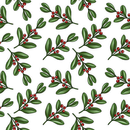 seamless pattern with branch of yerba mateの写真素材