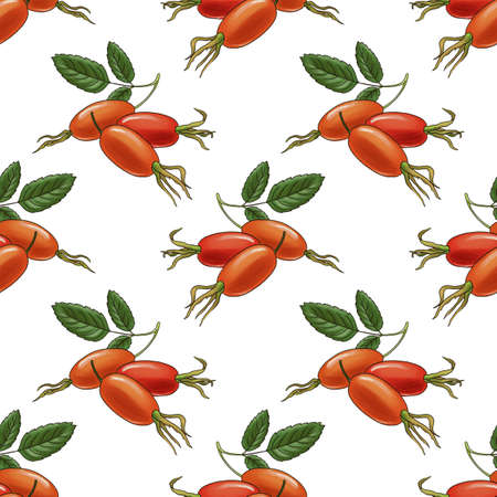 seamless pattern with rose hipsの写真素材
