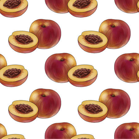 seamless pattern with nectarineの写真素材