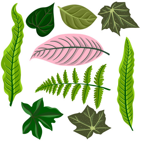 vector drawing tropical leavesのイラスト素材