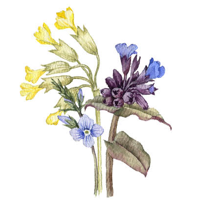 watercolor drawing bouquet of spring flowersの写真素材