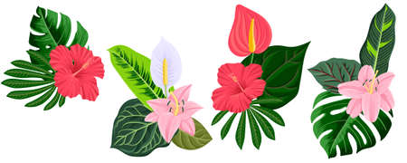vector drawing tropical flowers and leavesのイラスト素材
