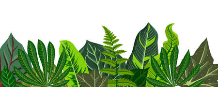 vector drawing background with tropical leavesのイラスト素材