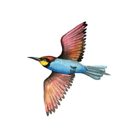 watercolor drawing green bird