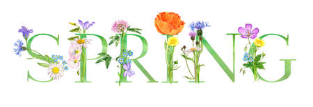 watercolor drawing lettering spring with flowersの写真素材