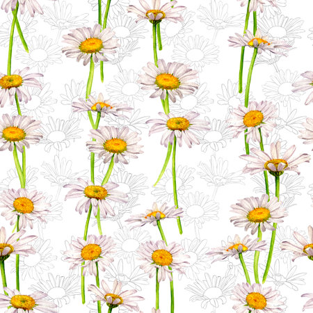 seamless pattern with drawing daisiesの写真素材