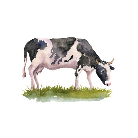 watercolor drawing sketch of cowの写真素材