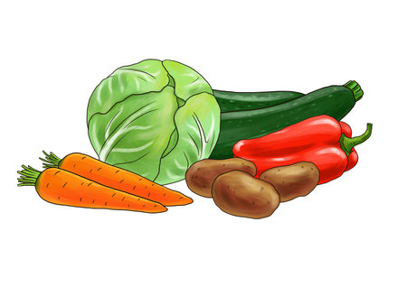 drawing vegetables at white backgroundの写真素材