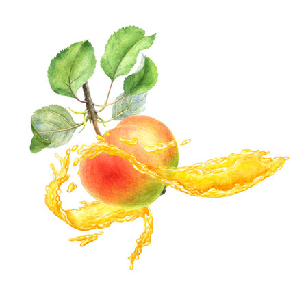watercolor drawing splash of juice and appleの写真素材