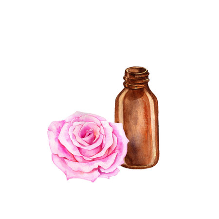 watercolor drawing rose essential oilの写真素材