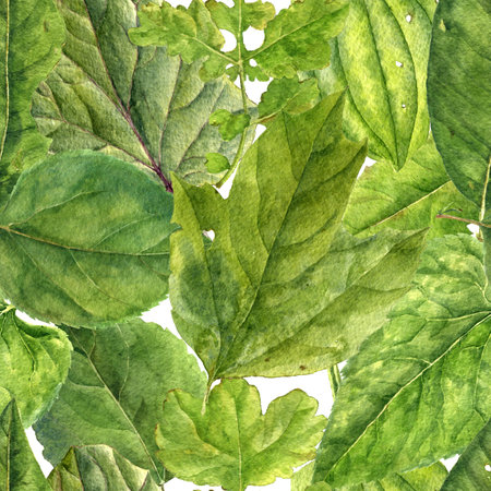 seamless pattern with drawing green leavesの写真素材