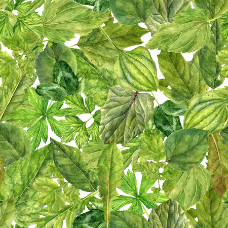 seamless pattern with drawing green leavesの写真素材