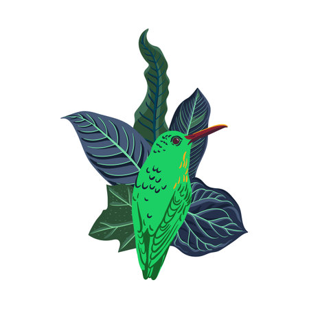 vector drawing tropical leaves and humminhgbirdのイラスト素材