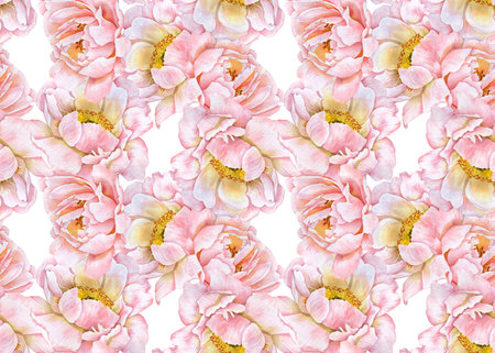 watercolor pattern with drawing flowers of peonyの写真素材