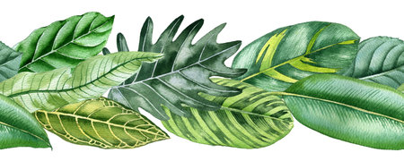 watercolor drawing tropical leavesの写真素材