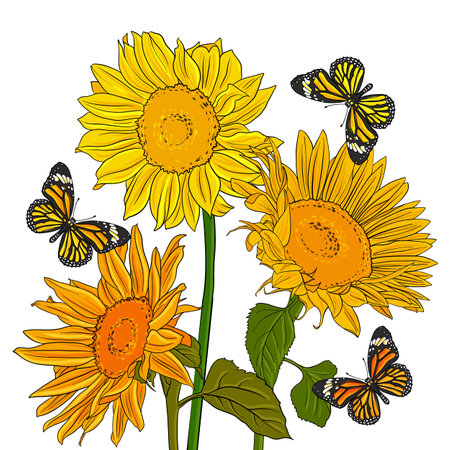 vector drawing butterflies and flowersのイラスト素材