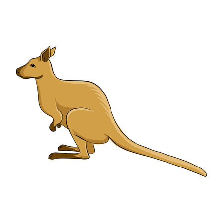 vector drawing animal, kangarooのイラスト素材