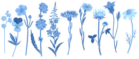 vector drawing wild flowersのイラスト素材