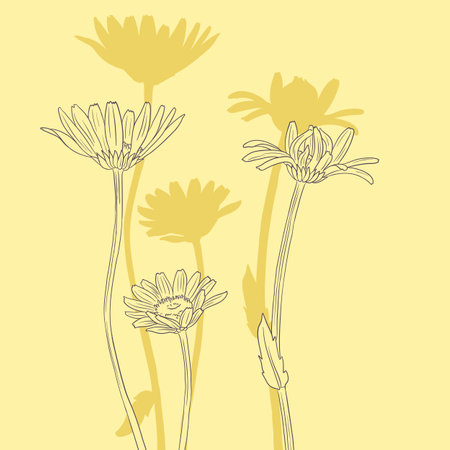 vector drawing wild flowers, daisiesのイラスト素材