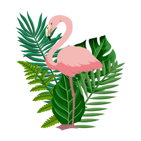 vector drawing bird, flamingoのイラスト素材