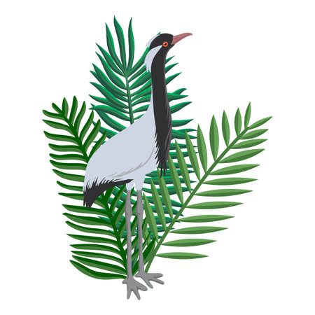vector drawing bird, demoiselle craneのイラスト素材