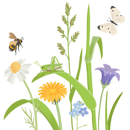 vector drawing wild flowersのイラスト素材