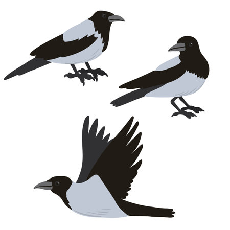 vector drawing craw birdsのイラスト素材