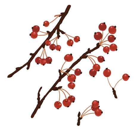 vector drawing winter branches of apple treeのイラスト素材
