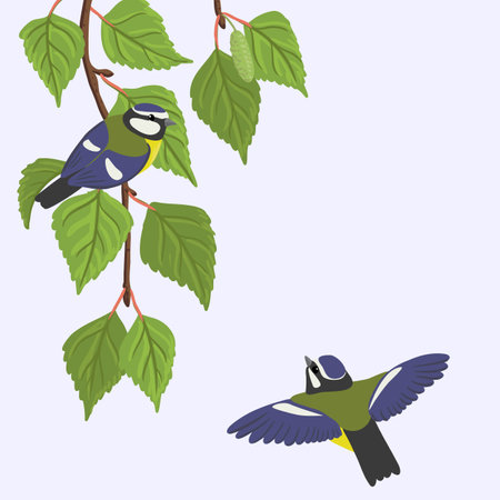 vector drawing birch branches and titsのイラスト素材