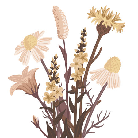 vector drawing wild flowersのイラスト素材