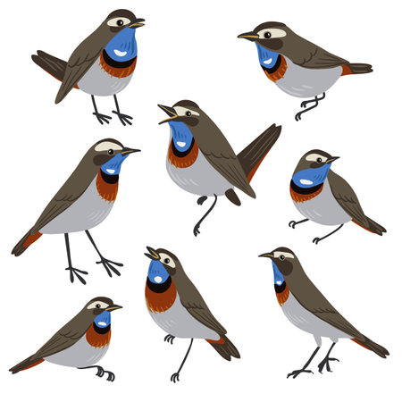 vector drawing bluethroat birdsのイラスト素材