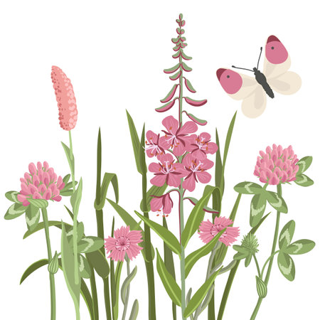 vector drawing bouquet of wild flowersのイラスト素材