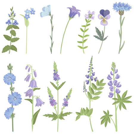 vector drawing wild flowersのイラスト素材