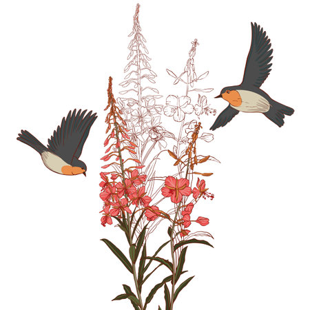 vector drawing wild flowersのイラスト素材