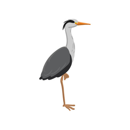 vector drawing grey heronのイラスト素材