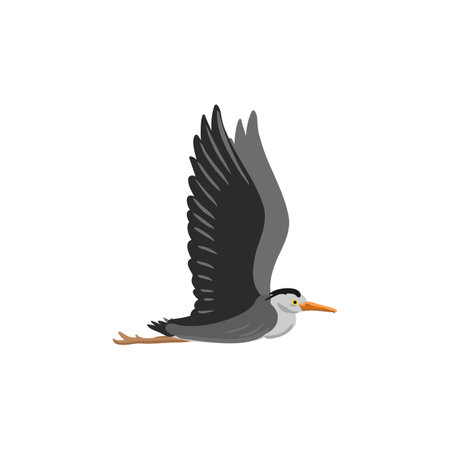 vector drawing grey heronのイラスト素材