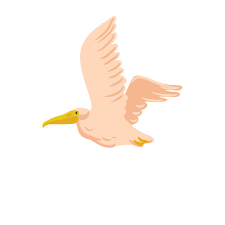 vector drawing pelican birdのイラスト素材