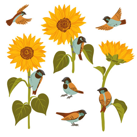 vector drawing sunflowers and birdsのイラスト素材
