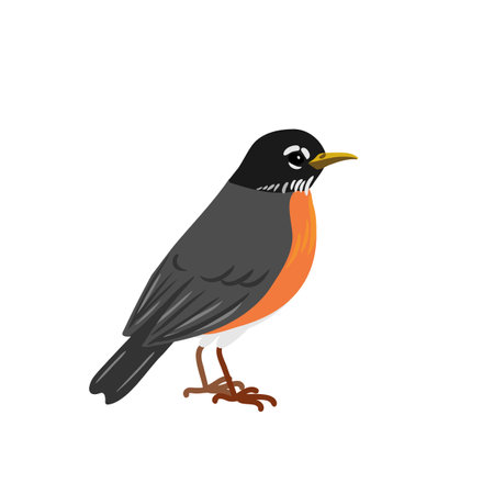 vector drawing birdのイラスト素材
