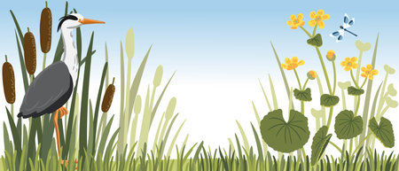 vector drawing grey heron and plantsのイラスト素材