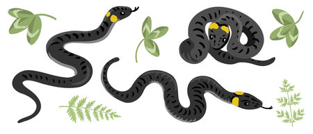 vector drawing ringed snakes and green leavesのイラスト素材