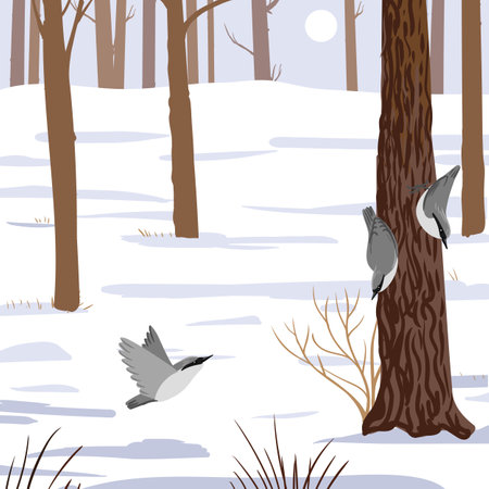 vector drawing bird, wood nuthatch, winter forestのイラスト素材