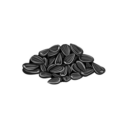 vector drawing sunflower seedsのイラスト素材